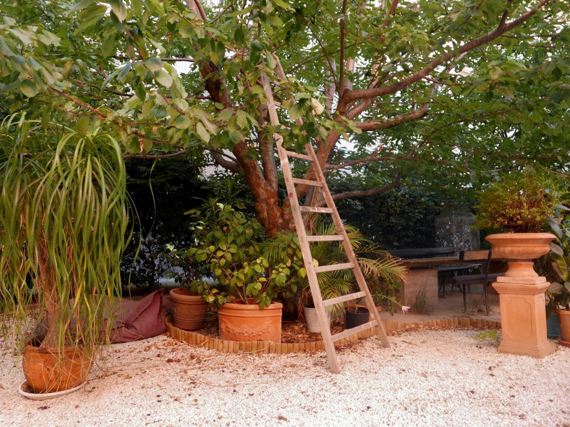 Jardin Vieux Port Panier Hotel Marseille Exterior photo